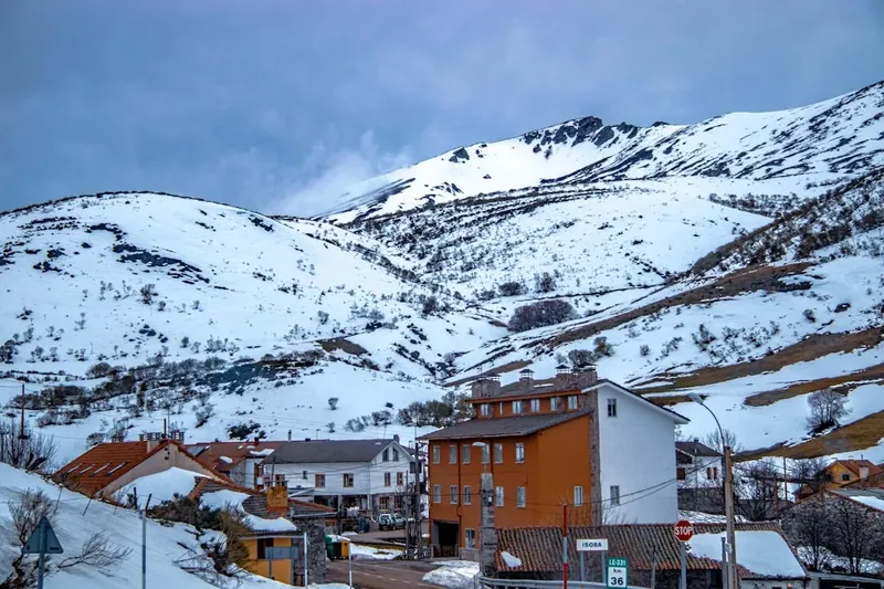 El Impacto de las Plataformas Chinas en el Comercio Alemán