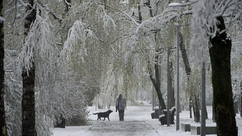 Una tormenta de nieve en Moscú