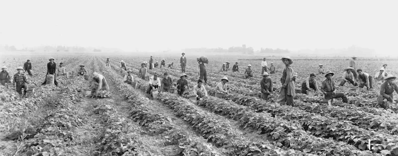 Crisis de Fertilizantes y Seguridad Alimentaria