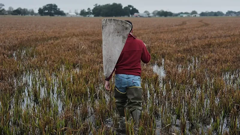 La guerra en Irán y su impacto en la agricultura de Asia Central