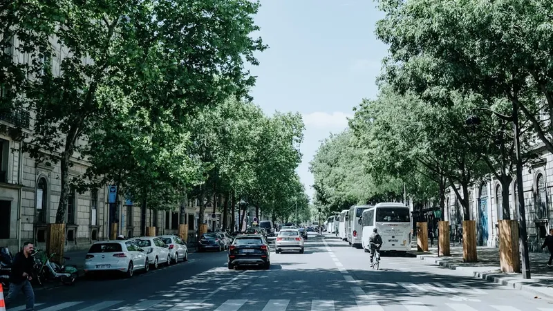 Francia adopta una ley para la restitución de arte saqueado en las colonias