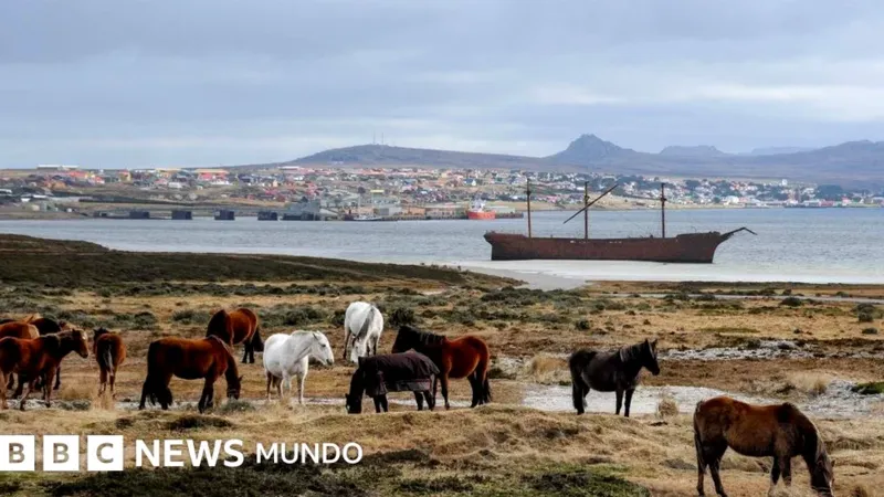 Las Malvinas: Un tema delicado para Reino Unido y EE.UU.