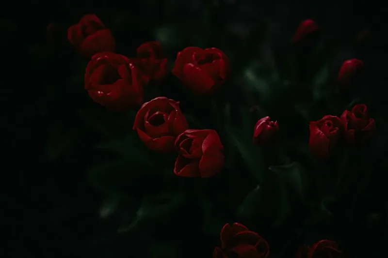 El auge de Europa como destino preferente para el talento en IA