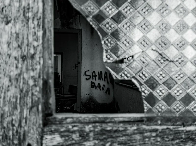 La Transformación y Retos del Aguacate