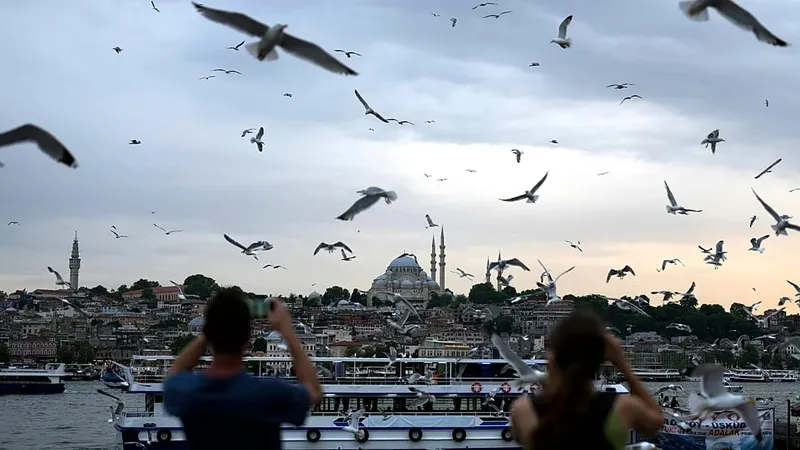 Capitán de fútbol rescató a una gaviota con RCP en Estambul