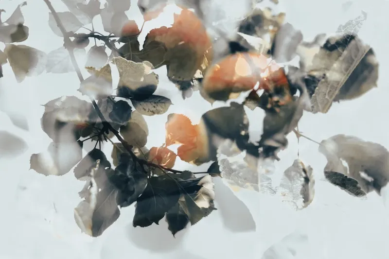 Harvey Weinstein enfrenta un nuevo juicio por violación a Jessica Mann