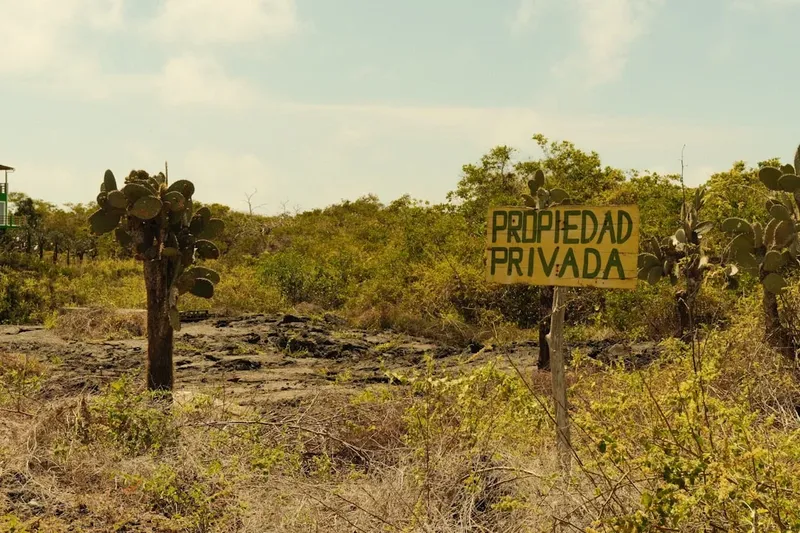 Un año después del apagón: ¿Estamos más preparados?