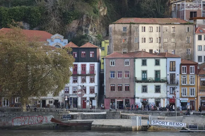 Portugal y la Sostenibilidad: Un Llamado a la Acción