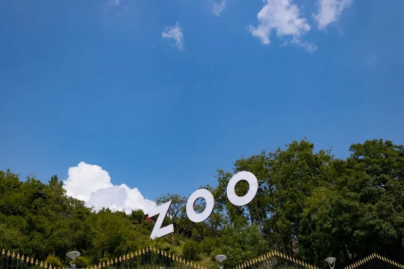 Del hotel al zoo: Destinos europeos para una noche entre animales